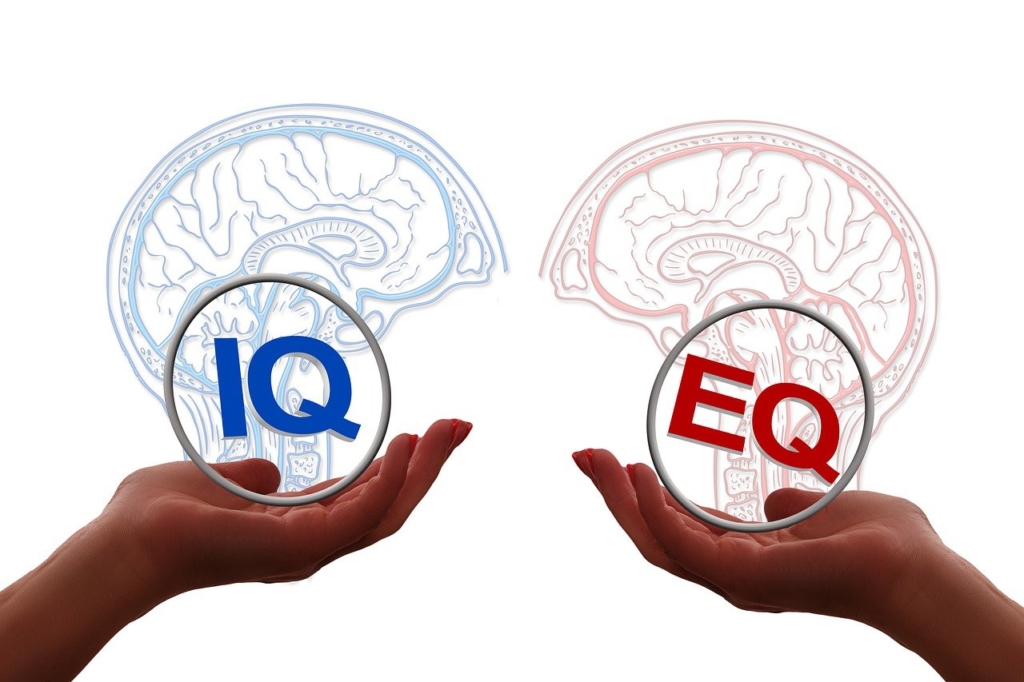 IQ & EQ