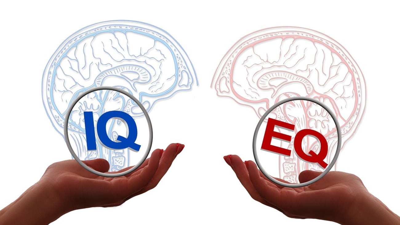 IQ & EQ
